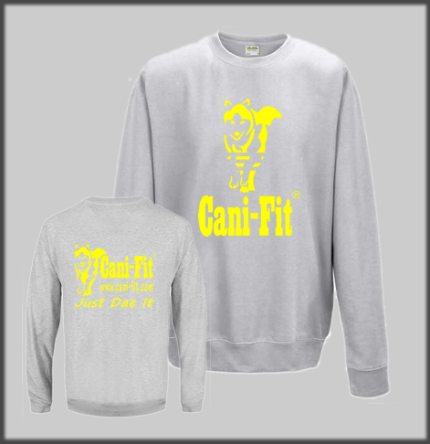 Cani Fit Split Line Sweatshirt